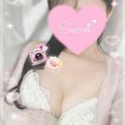 ヒメ日記 2025/10/29 17:25 投稿 ひなた オトナのハンドメイド