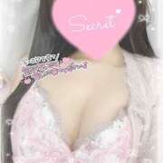 ヒメ日記 2025/10/31 16:38 投稿 ひなた オトナのハンドメイド