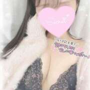 ヒメ日記 2025/11/01 13:05 投稿 ひなた オトナのハンドメイド