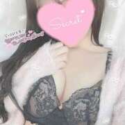 ヒメ日記 2025/11/26 11:26 投稿 ひなた オトナのハンドメイド