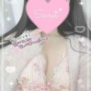 ヒメ日記 2025/12/17 18:12 投稿 ひなた オトナのハンドメイド