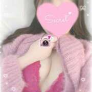 ヒメ日記 2025/12/26 17:46 投稿 ひなた オトナのハンドメイド