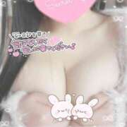 ヒメ日記 2025/12/29 12:06 投稿 ひなた オトナのハンドメイド