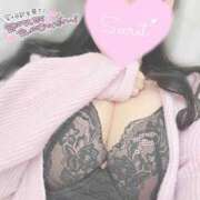 ひなた ＊こんにちは(? ? ??)”＊ オトナのハンドメイド