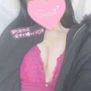 ヒメ日記 2026/01/25 11:05 投稿 ひなた オトナのハンドメイド