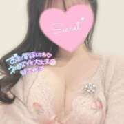 ヒメ日記 2026/01/30 11:44 投稿 ひなた オトナのハンドメイド