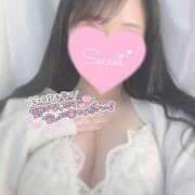 ヒメ日記 2026/02/04 16:35 投稿 ひなた オトナのハンドメイド