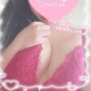 ヒメ日記 2026/02/05 17:05 投稿 ひなた オトナのハンドメイド