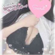 ヒメ日記 2026/02/06 11:36 投稿 ひなた オトナのハンドメイド