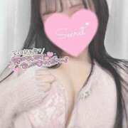 ヒメ日記 2026/02/11 13:52 投稿 ひなた オトナのハンドメイド