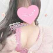 ヒメ日記 2026/02/18 11:07 投稿 ひなた オトナのハンドメイド