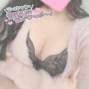 ヒメ日記 2026/02/20 17:59 投稿 ひなた オトナのハンドメイド