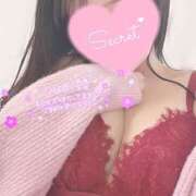 ヒメ日記 2026/03/03 12:14 投稿 ひなた オトナのハンドメイド