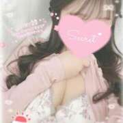 ヒメ日記 2026/03/06 12:19 投稿 ひなた オトナのハンドメイド