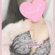 ヒメ日記 2026/03/18 17:07 投稿 ひなた オトナのハンドメイド