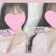 ヒメ日記 2026/03/24 13:45 投稿 ひなた オトナのハンドメイド