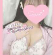 ヒメ日記 2026/03/28 11:05 投稿 ひなた オトナのハンドメイド