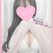 ヒメ日記 2026/04/06 11:44 投稿 ひなた オトナのハンドメイド