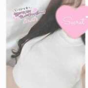 ヒメ日記 2026/04/11 11:07 投稿 ひなた オトナのハンドメイド