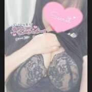 ヒメ日記 2026/04/14 11:10 投稿 ひなた オトナのハンドメイド