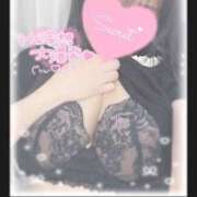 ヒメ日記 2026/04/14 15:13 投稿 ひなた オトナのハンドメイド