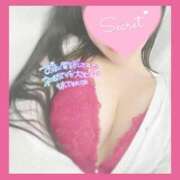 ヒメ日記 2026/04/15 11:58 投稿 ひなた オトナのハンドメイド