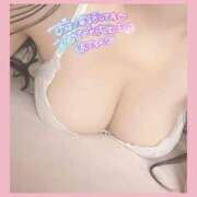 ヒメ日記 2026/04/28 17:30 投稿 ひなた オトナのハンドメイド