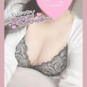 ヒメ日記 2026/04/29 11:42 投稿 ひなた オトナのハンドメイド