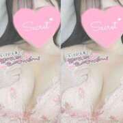 ヒメ日記 2026/04/29 15:18 投稿 ひなた オトナのハンドメイド