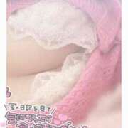 ヒメ日記 2026/08/08 15:29 投稿 ひなた オトナのハンドメイド