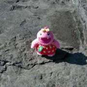 ヒメ日記 2026/04/22 17:17 投稿 あき あふたーすくーる本店