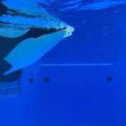 ヒメ日記 2025/11/12 21:31 投稿 あいす プレミアム(福原)