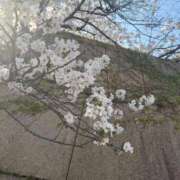 ヒメ日記 2026/04/03 16:05 投稿 あいす プレミアム(福原)