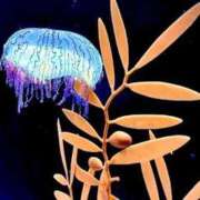 ヒメ日記 2025/07/18 18:03 投稿 りりむ 大阪痴女性感フェチ倶楽部