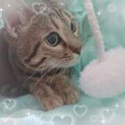 ヒメ日記 2025/08/01 16:22 投稿 りりむ 大阪痴女性感フェチ倶楽部