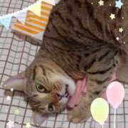 ヒメ日記 2025/12/26 11:22 投稿 りりむ 大阪痴女性感フェチ倶楽部