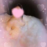 ヒメ日記 2025/07/12 20:52 投稿 みお EPILOGUE-エピローグ-