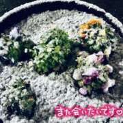 ヒメ日記 2025/03/08 22:12 投稿 ちぐさ 完熟ばなな千葉店