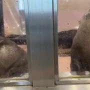 ヒメ日記 2025/03/09 20:22 投稿 ちぐさ 完熟ばなな千葉店