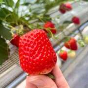 ヒメ日記 2025/05/03 20:42 投稿 ちぐさ 完熟ばなな千葉店