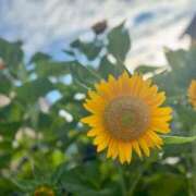 ヒメ日記 2025/08/03 09:22 投稿 ちぐさ 完熟ばなな千葉店