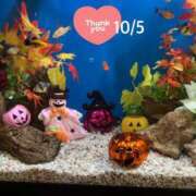 ヒメ日記 2025/10/07 21:52 投稿 ちぐさ 完熟ばなな千葉店