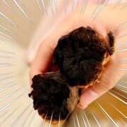 ヒメ日記 2025/12/02 07:52 投稿 ちぐさ 完熟ばなな千葉店