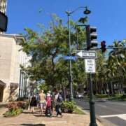 ヒメ日記 2025/08/12 12:25 投稿 りさ 若葉