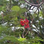 ヒメ日記 2025/08/22 17:05 投稿 りさ 若葉