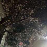 ヒメ日記 2025/08/26 00:05 投稿 りさ 若葉