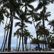 ヒメ日記 2025/09/03 21:35 投稿 りさ 若葉