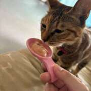 ヒメ日記 2025/09/29 16:35 投稿 りさ 若葉