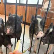 ヒメ日記 2025/09/29 17:55 投稿 りさ 若葉