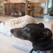 ヒメ日記 2025/09/30 19:15 投稿 りさ 若葉